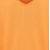 H1_Apricot 
